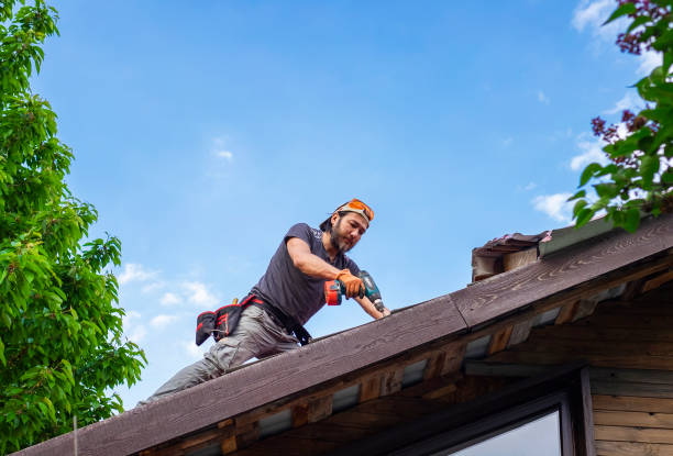 Best Asphalt Shingles Roofing  in South Patrick Shores, FL